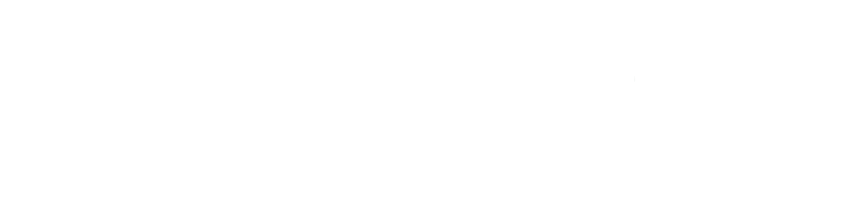 Quantia Partners Logo Blanco